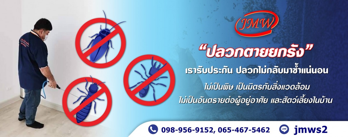 กำจัดปลวกนนทบุรี ราคาถูก