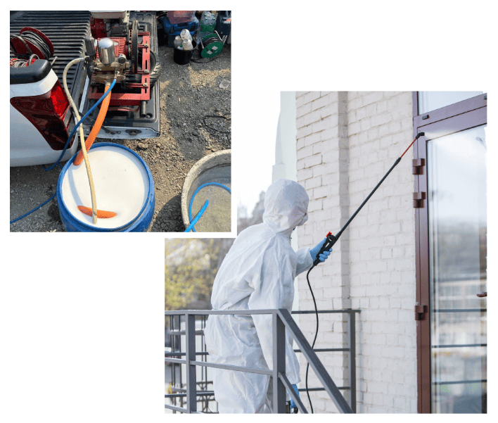 รับกำจัดปลวกนนทบุรี